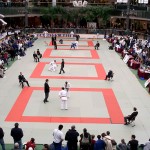 Tournament Results: Edmonton International Mar 31 – Apr 1, 2012